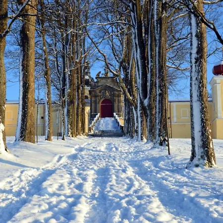 Wellness Horni Orlice Holiday home *