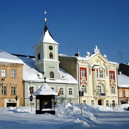 Holiday home Wellness Horni Orlice Kraliky