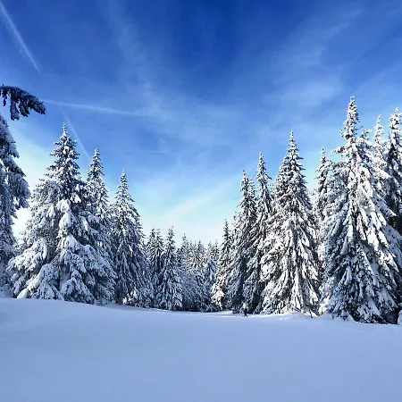 Wellness Horni Orlice Králíky