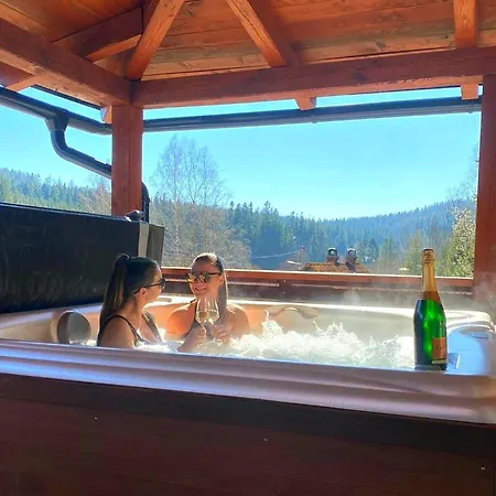 Dom wakacyjny Wellness Horni Orlice