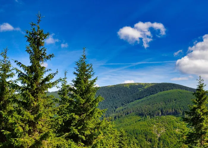 Wellness Horni Orlice Vakantiehuis *