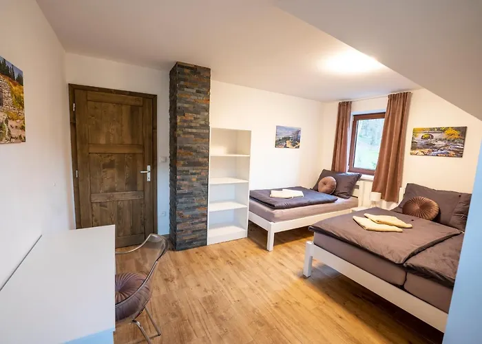 Wellness Horni Orlice Vakantiehuis *