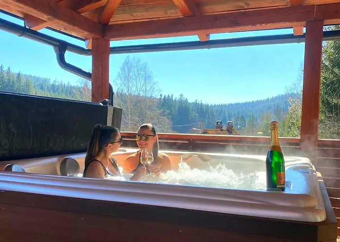 Vakantiehuis Wellness Horni Orlice